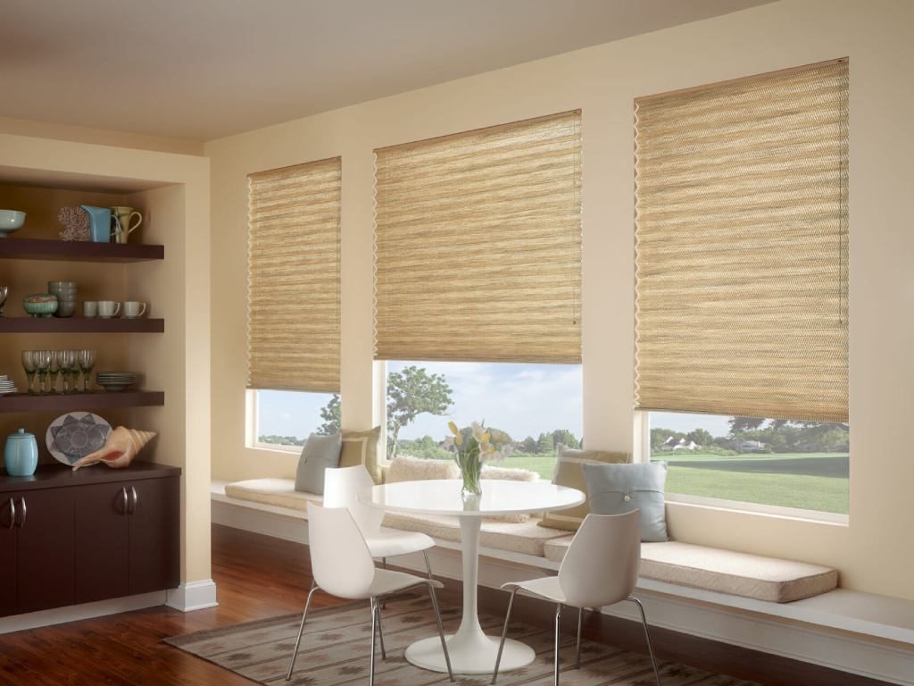 Pleated-Shades-window